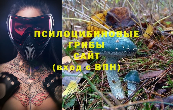 таблы Волосово