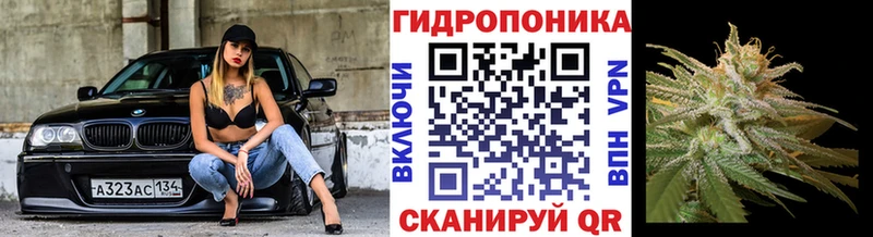 KRAKEN ТОР  Ессентукская  МАРИХУАНА тримм 
